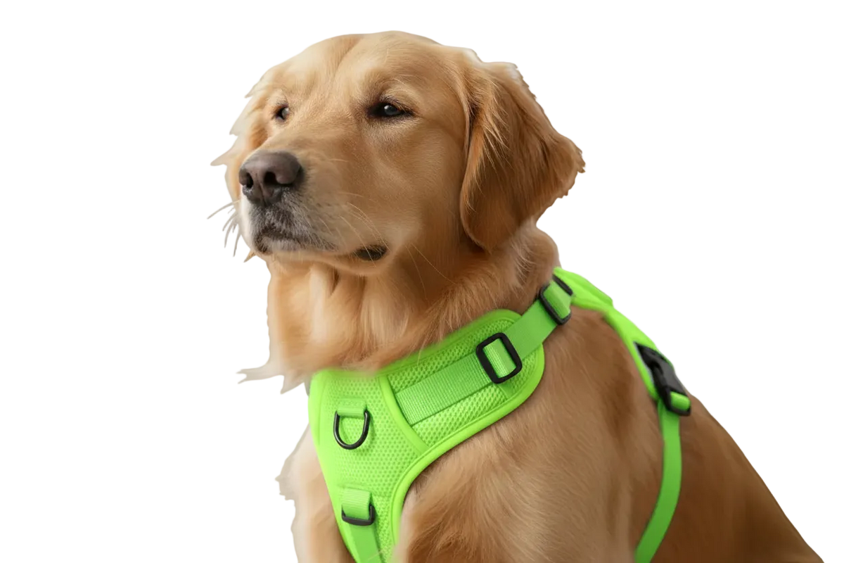 Elite Pets Harnes Reflective Ajustable pour Chien