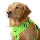  Vert