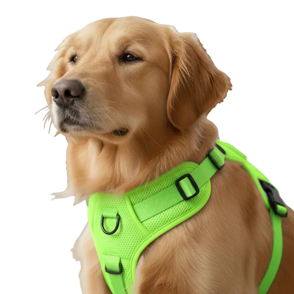 Elite Pets Harnes Reflective Ajustable pour Chien