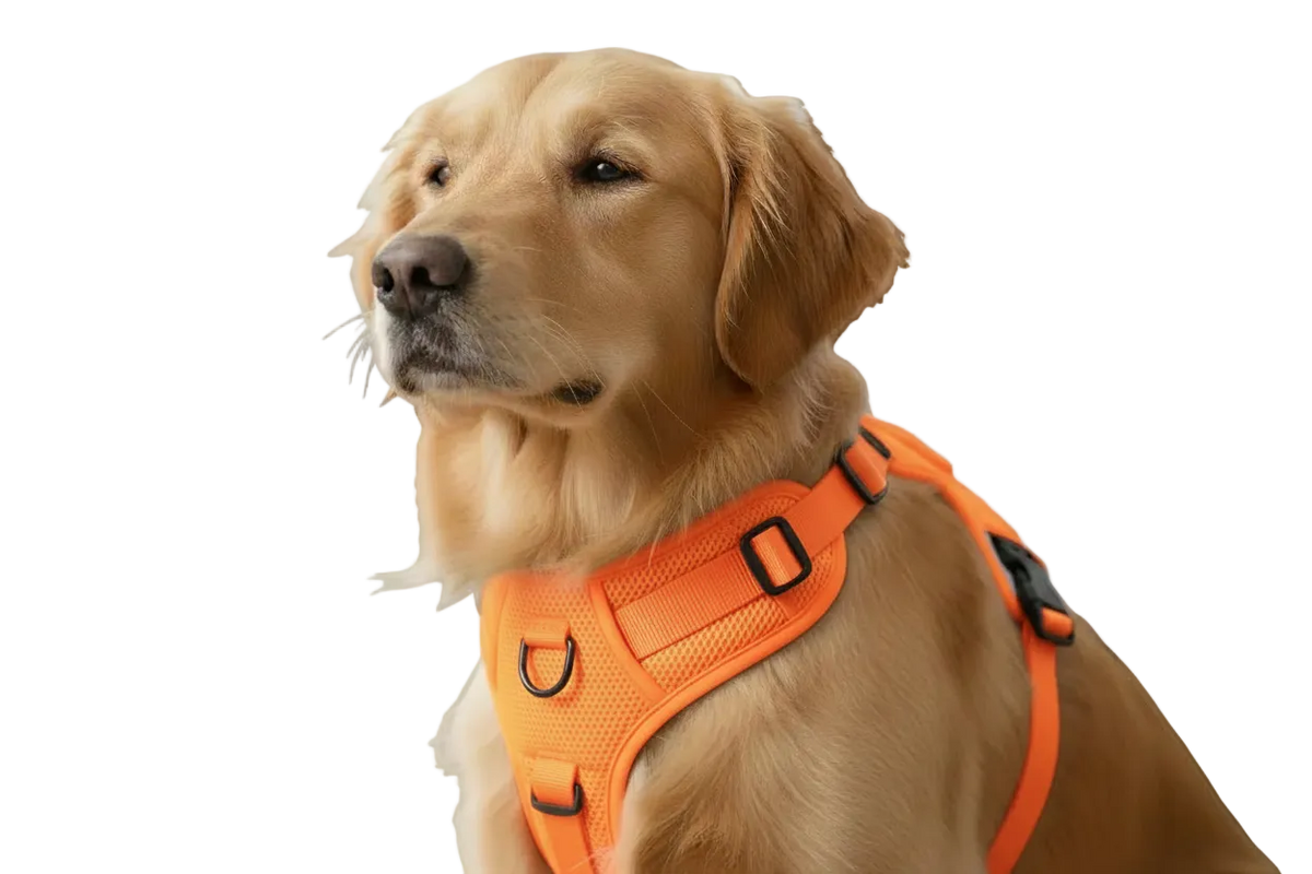 Elite Pets Harnes Reflective Ajustable pour Chien
