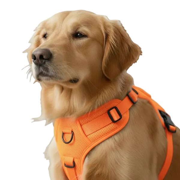 Elite Pets Harnes Reflective Ajustable pour Chien